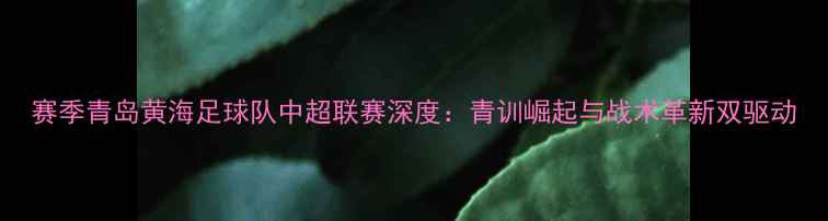 图片 赛季青岛黄海足球队中超联赛深度：青训崛起与战术革新双驱动