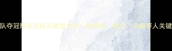 图片 赛季骑士队夺冠阵容及球员数据分析：詹姆斯、欧文、乐福等人关键表现回顾