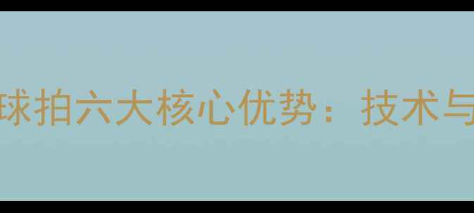 图片 赛顶乒乓球拍六大核心优势：技术与选购指南