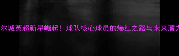 图片 赫尔城英超新星崛起！球队核心球员的爆红之路与未来潜力2