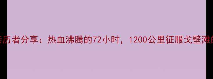 图片 越野车比赛亲历者分享：热血沸腾的72小时，1200公里征服戈壁滩的挑战与成长