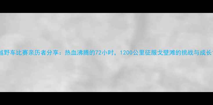 图片 越野车比赛亲历者分享：热血沸腾的72小时，1200公里征服戈壁滩的挑战与成长1