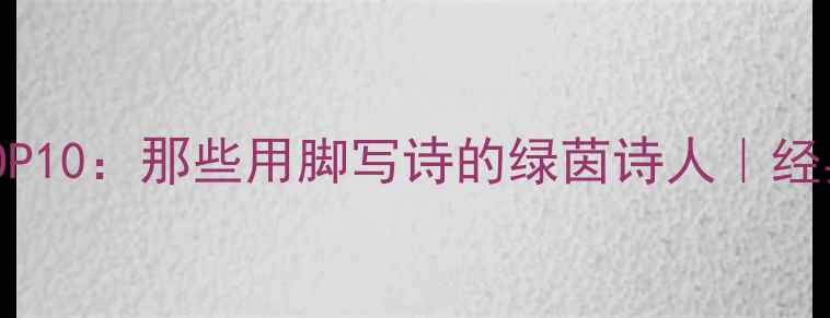 图片 足坛中场传奇球员TOP10：那些用脚写诗的绿茵诗人｜经典时刻+传奇故事全2
