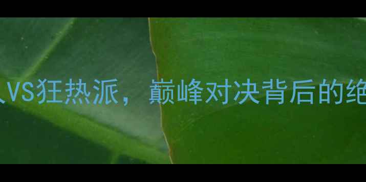 图片 足坛最大悬念：神秘人VS狂热派，巅峰对决背后的绝杀瞬间与战术博弈全1