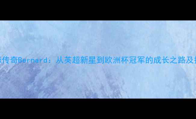 图片 足球传奇Bernard：从英超新星到欧洲杯冠军的成长之路及技术