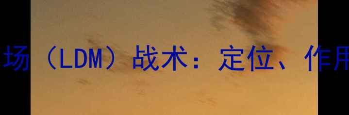 图片 足球低落球中场（LDM）战术：定位、作用与实战案例2