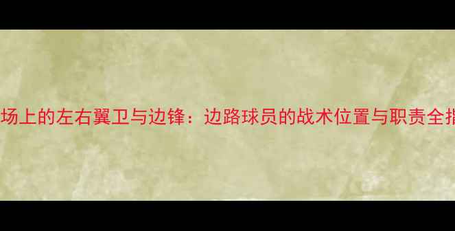 图片 足球场上的左右翼卫与边锋：边路球员的战术位置与职责全指南2