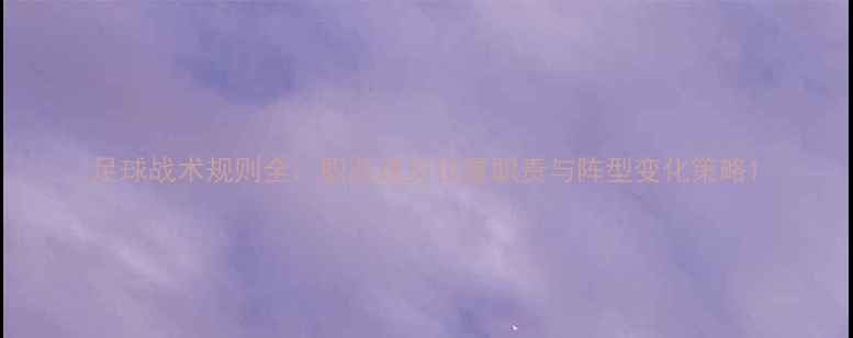 图片 足球战术规则全：职业球员位置职责与阵型变化策略1