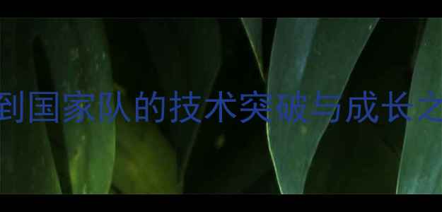 图片 足球新星Tac：从青训到国家队的技术突破与成长之路（附职业发展全）1