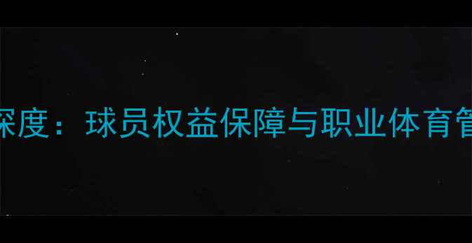 图片 足球罢赛事件深度：球员权益保障与职业体育管理的平衡之道