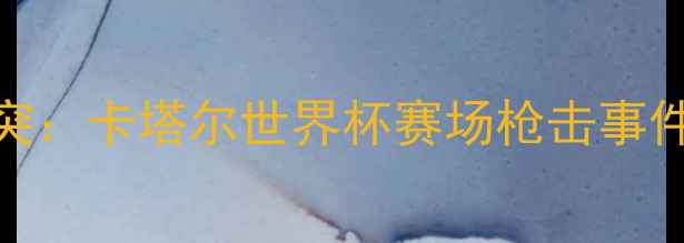 图片 足球赛事突发暴力冲突：卡塔尔世界杯赛场枪击事件深度调查与行业反思