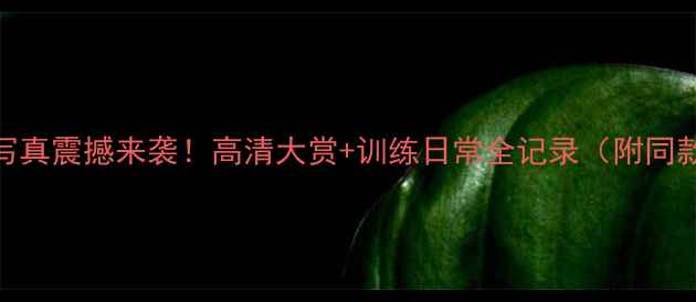 图片 辛杜羽毛球写真震撼来袭！高清大赏+训练日常全记录（附同款装备清单）