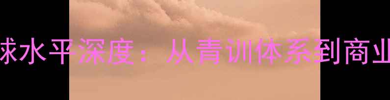 图片 辽宁乒乓球水平深度：从青训体系到商业价值全✨