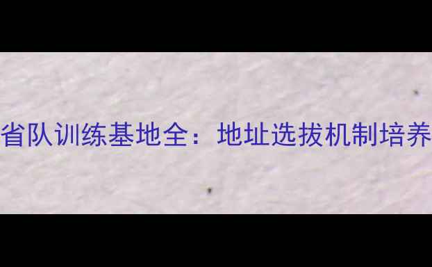图片 辽宁省乒乓球省队训练基地全：地址选拔机制培养体系赛事成绩