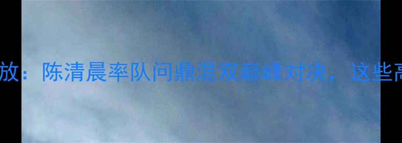 图片 辽宁羽毛球全运会震撼回放：陈清晨率队问鼎混双巅峰对决，这些高光瞬间你绝对不能错过1