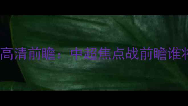 图片 辽宁队vs北京国安高清前瞻：中超焦点战前瞻谁将问鼎争冠集团？1