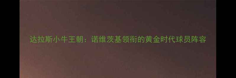 图片 达拉斯小牛王朝：诺维茨基领衔的黄金时代球员阵容