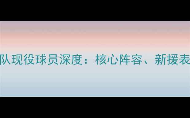 图片 达拉斯独行侠队现役球员深度：核心阵容、新援表现及未来展望