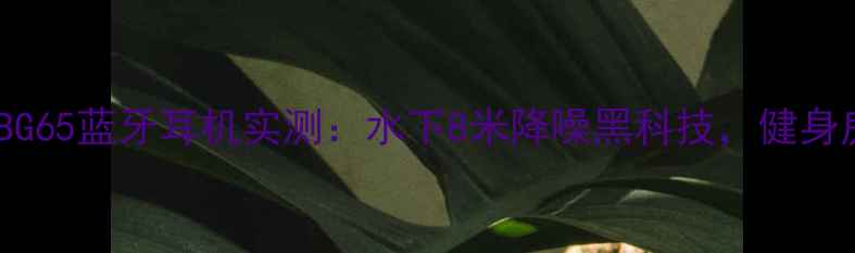 图片 运动党必备！VS800BG65蓝牙耳机实测：水下8米降噪黑科技，健身房到泳池全场景覆盖