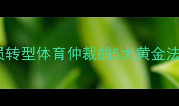 图片 退役球员转行裁判：运动员转型体育仲裁的5大黄金法则（附职业发展路径图）1