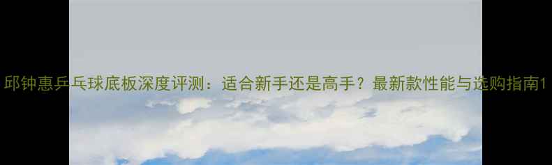 图片 邱钟惠乒乓球底板深度评测：适合新手还是高手？最新款性能与选购指南1