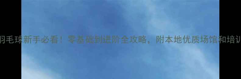 图片 邵阳羽毛球新手必看！零基础到进阶全攻略，附本地优质场馆和培训信息