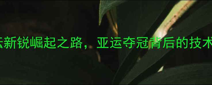 图片 郑在成：韩国羽坛新锐崛起之路，亚运夺冠背后的技术革新与团队协作1