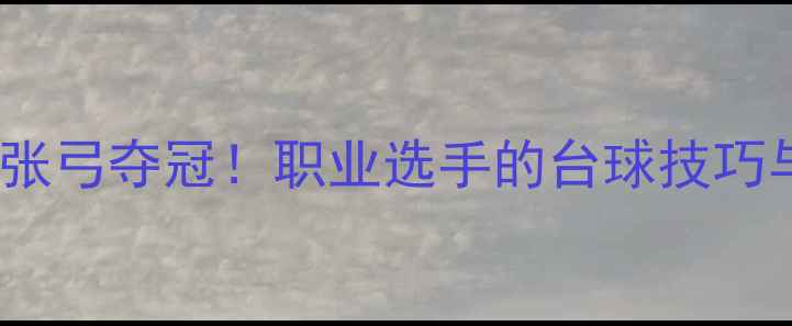 图片 郑州台球赛张弓夺冠！职业选手的台球技巧与训练日常1