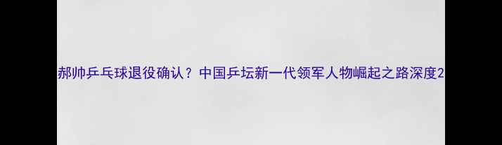 图片 郝帅乒乓球退役确认？中国乒坛新一代领军人物崛起之路深度2