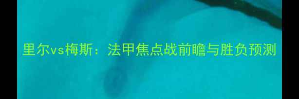 图片 里尔vs梅斯：法甲焦点战前瞻与胜负预测