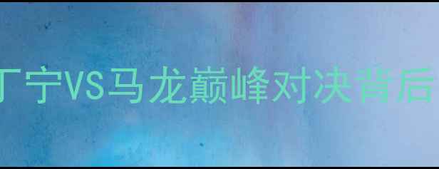 图片 里约奥运会女单决赛：丁宁VS马龙巅峰对决背后的技术博弈与历史意义1