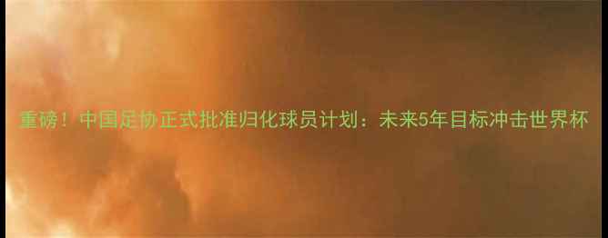 图片 重磅！中国足协正式批准归化球员计划：未来5年目标冲击世界杯
