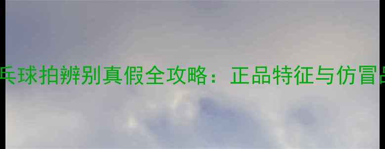 图片 银河乒乓球拍辨别真假全攻略：正品特征与仿冒品陷阱2