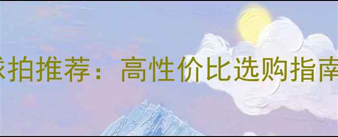 图片 银河无缝乒乓球拍推荐：高性价比选购指南与使用技巧全1