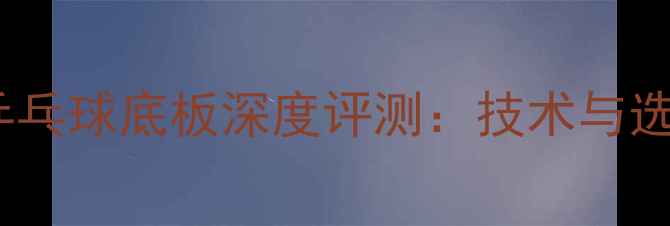 图片 银河牌乒乓球底板深度评测：技术与选购指南1