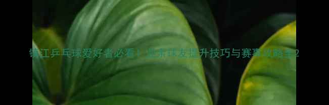 图片 镇江乒乓球爱好者必看！业余球友提升技巧与赛事攻略全2