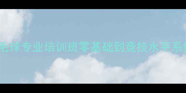 图片 长沙少儿羽毛球专业培训班零基础到竞技水平系统课程体系1