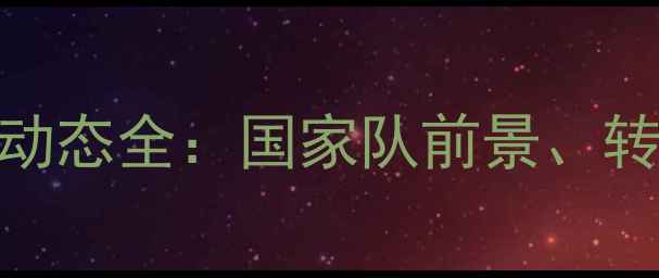 图片 阿尔巴球员乌克兰动态全：国家队前景、转会市场及球迷期待