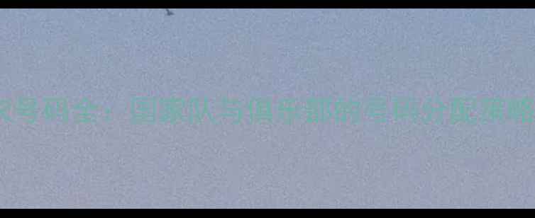 图片 阿尔巴球员球衣号码全：国家队与俱乐部的号码分配策略及背后的故事1