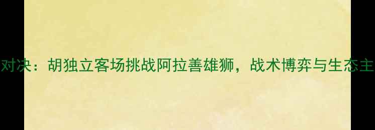图片 阿拉善沙漠杯巅峰对决：胡独立客场挑战阿拉善雄狮，战术博弈与生态主题融合的足球盛宴