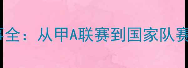 图片 阿根廷足球赛事全：从甲A联赛到国家队赛事的深度盘点2