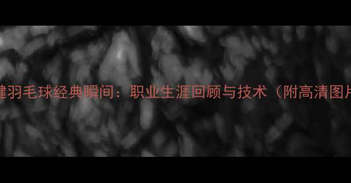 图片 陆健羽毛球经典瞬间：职业生涯回顾与技术（附高清图片）