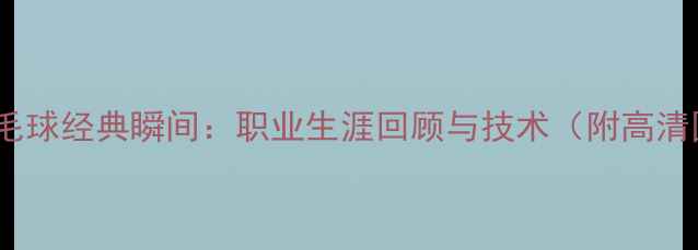 图片 陆健羽毛球经典瞬间：职业生涯回顾与技术（附高清图片）1