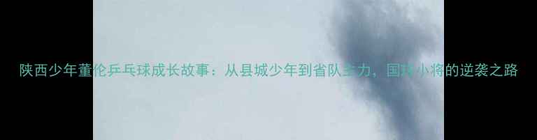 图片 陕西少年董伦乒乓球成长故事：从县城少年到省队主力，国球小将的逆袭之路