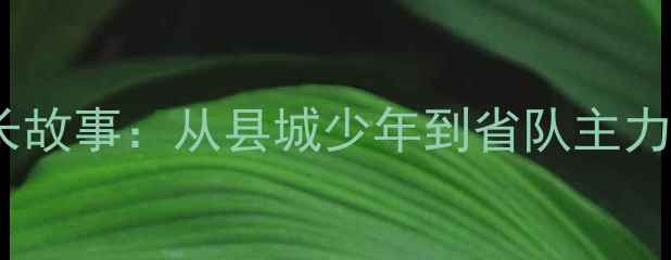图片 陕西少年董伦乒乓球成长故事：从县城少年到省队主力，国球小将的逆袭之路2