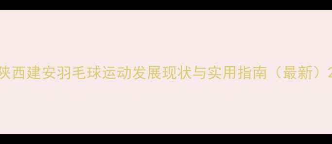 图片 陕西建安羽毛球运动发展现状与实用指南（最新）2