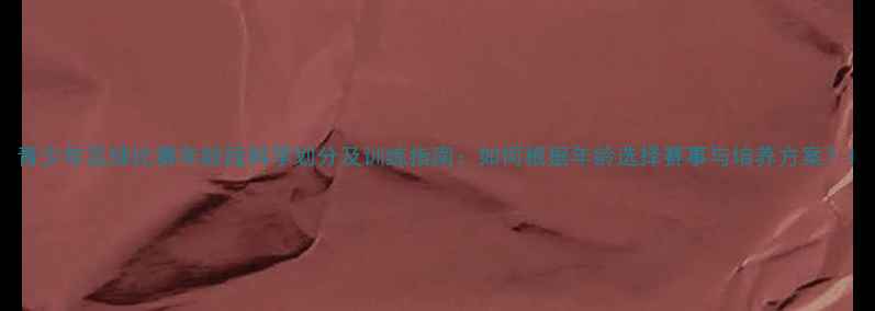 图片 青少年足球比赛年龄段科学划分及训练指南：如何根据年龄选择赛事与培养方案？1