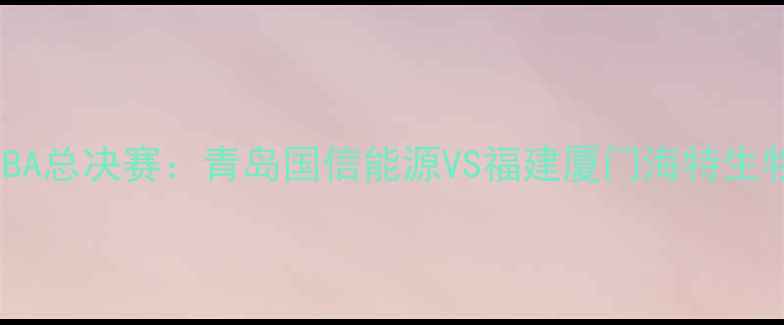 图片 青岛啤酒杯CBA总决赛：青岛国信能源VS福建厦门海特生物终极对决全