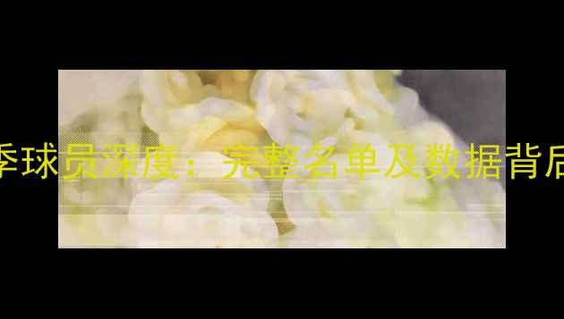 图片 青岛黄海赛季球员深度：完整名单及数据背后的战术密码