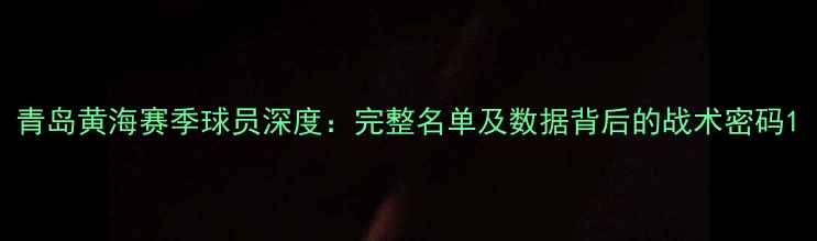 图片 青岛黄海赛季球员深度：完整名单及数据背后的战术密码1